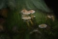 Digital oil painting of fantasy glowing mushrooms in an enchanted forest