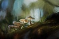 Digital oil painting of fantasy glowing mushrooms in an enchanted forest