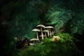 Digital oil painting of fantasy glowing mushrooms in an enchanted forest
