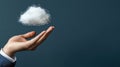 Digital optimization: boosting virtual information systems for efficient growth in networked computing, enhancing