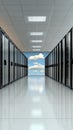 Digital optimization: boosting virtual information systems for efficient growth in networked computing, enhancing