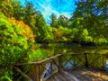 Digital paint strokes image of pond in National Rhododendron gardens