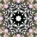 Digital Painting Abstract Colorful Floral Kaleidoscope Symmetrical Mandala Background