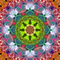 Digital Painting Abstract Colorful Floral Kaleidoscope Symmetrical Mandala Background