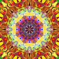 Digital Painting Abstract Colorful Floral Mandala Background