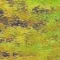 Digital Painting Abstract Military Camouflage Texture in Different Shades of Army Royalty Free Stock Photo