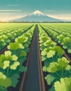 digital painting of Agriculture shot,celery Royalty Free Stock Photo