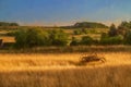 Fine art, artwork. Digital abstract oil painting of an antique hay rake in a farmers field at sunset Royalty Free Stock Photo