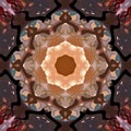 Digital Painting Abstract Colorful Floral Kaleidoscope Symmetrical Mandala Background