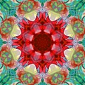 Digital Painting Abstract Colorful Floral Mandala Background