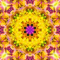 Digital Painting Abstract Colorful Floral Mandala Background