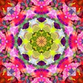 Digital Painting Abstract Colorful Floral Mandala Background