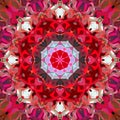 Digital Painting Abstract Colorful Floral Mandala Background