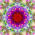 Digital Painting Abstract Colorful Floral Kaleidoscope Symmetrical Mandala Background