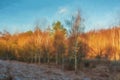 Digital painting of Cannock Chase, AONB in Staffordshire Royalty Free Stock Photo