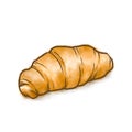 French croissant bread bakery raster illustration on white background.