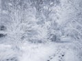 Digital painting of a rural winter snow scene on Wetley Moor, Staffordshire, UK