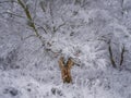 Digital painting of a rural winter snow scene on Wetley Moor, Staffordshire, UK