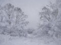 Digital painting of a rural winter snow scene on Wetley Moor, Staffordshire, UK