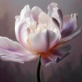 Digital painting slight pink streaks tulip