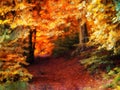 Digital painting style illustration of an autumn forest pathway with golden beech trees and leaves strewn on the ground with Royalty Free Stock Photo