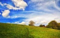 Digital painting style illustration of a pathway winding up beautiful flower covered hillside pasture with a farmhouse among