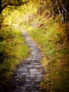 Digital painting style illustration of a stone pathway in autumn woodland with surrounding grass and trees