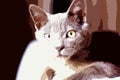 Digital painting style representing the face of a young gray cat