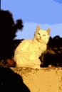 Digital painting style representing a white cat puppy resting on a low wall at sunset