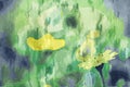 Digital painting of wild flowers by brushing Royalty Free Stock Photo