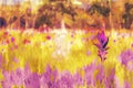 Digital painting of wild flowers by brushing, illustration of wild flowers for background Royalty Free Stock Photo