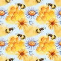 Digital paper seamless pattern with bee wasp, bumblebee, honey, field herbs, chamomile, calendula. Hand drawn watercolor