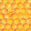 Digital paper seamless pattern with honeycomb, beehive bee wasp, bumblebee, honey. Hand drawn watercolor illustration Royalty Free Stock Photo