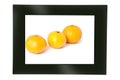Digital photo frame Royalty Free Stock Photo
