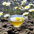 Digital photo of yellow teacup and field of chamomiles. AI Royalty Free Stock Photo