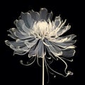 Surrealistic White Flower: Intricate Illustrations And Translucent Layers