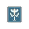 Digital Radiograph of Skeleton on Dark Background Healthcare Visualization Technology Royalty Free Stock Photo