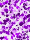 Digital rainbow purple paint ball splatter