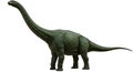 A digital rendering of a Brachiosaurus, a large sauropod dinosaur, featuring a long Royalty Free Stock Photo