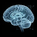 Digital rendering of a human brain featuring intricate neural Royalty Free Stock Photo