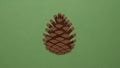 A digital rendering of a pine cone features a simple stylized design Royalty Free Stock Photo