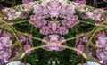 Digital Rendering Pink Flower Background