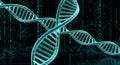 Futuristic DNA double helix with binary code and network on dark background Royalty Free Stock Photo