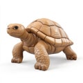 Cute Brown Tortoise, 3D Render, Shell Texture Royalty Free Stock Photo