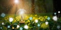 Digital security concept with a light bulb amidst green leaves and a security shield represents cautious data protection Royalty Free Stock Photo