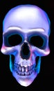 Digital Skull