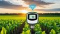 digital soil sensor in a field with plants