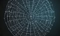 digital spider web, composed interconnected lines and dots, is centered against dark background.