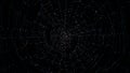 Digital spider web network with glowing nodes on black background. Big data concept. 3D rendering.