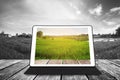 Digital tablet on wooden texture, at agricultural green field in sunrise